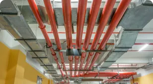 Ring main and piping